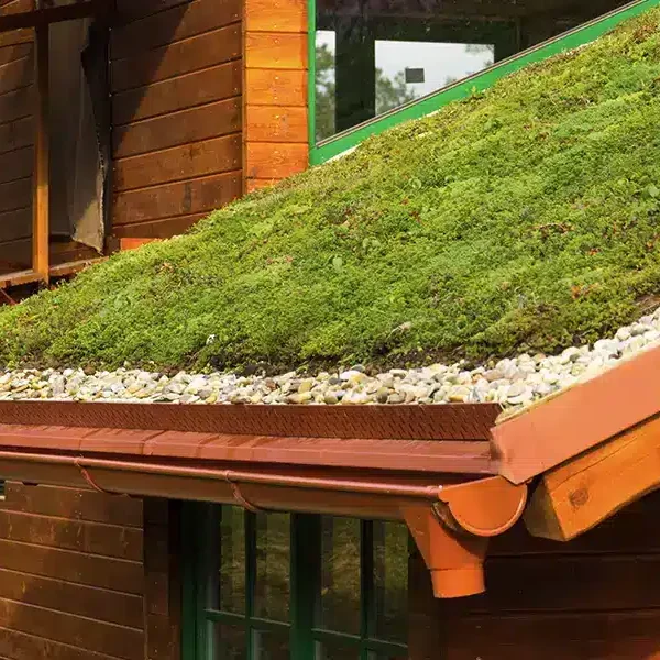 Roofing